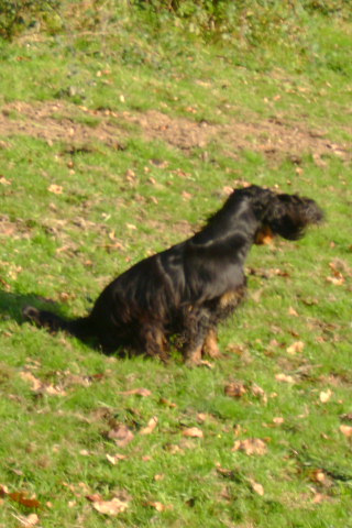 Publication : Du domaine de makno