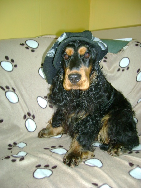 Publication : Du domaine de makno