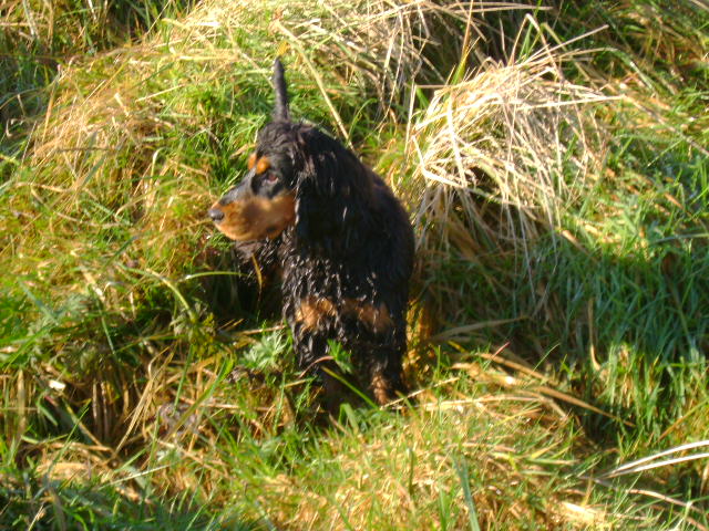 Publication : Du domaine de makno