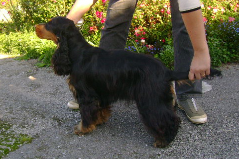 Publication : Du domaine de makno