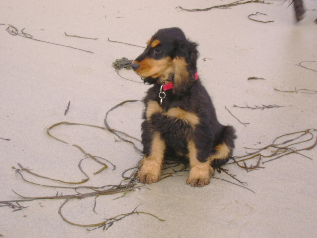 Publication : Du domaine de makno