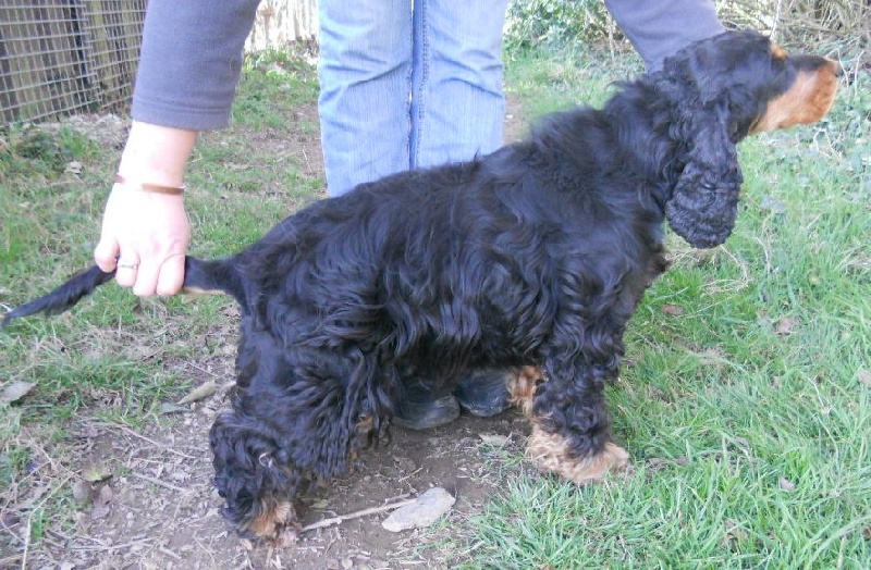 Publication : Du domaine de makno