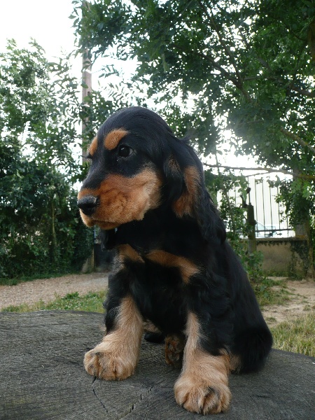 Publication : Du domaine de makno