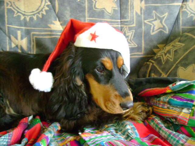 Publication : Du domaine de makno