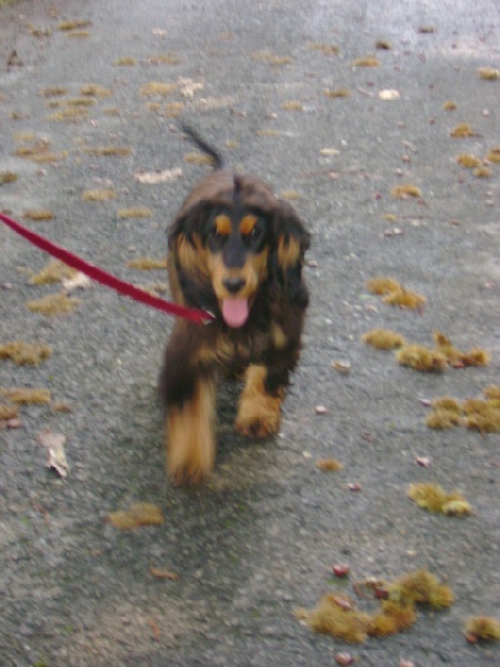 Publication : Du domaine de makno