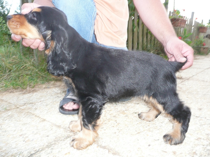 Publication : Du domaine de makno