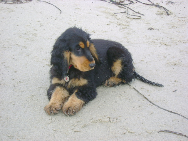 Publication : Du domaine de makno