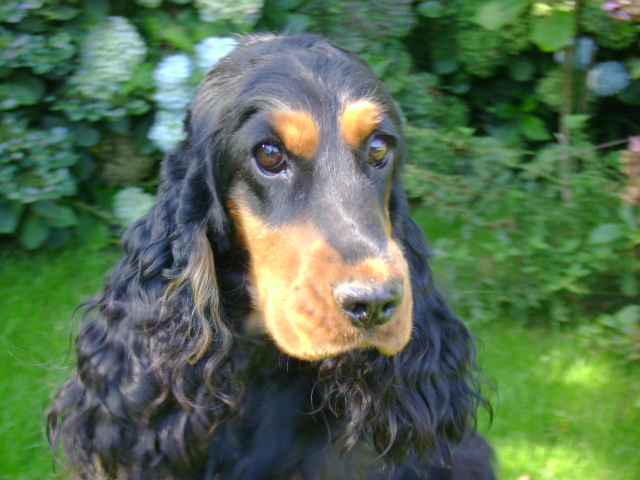 Publication : Du domaine de makno