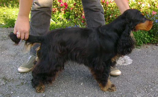 Publication : Du domaine de makno