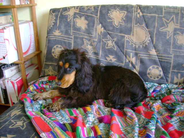 Publication : Du domaine de makno