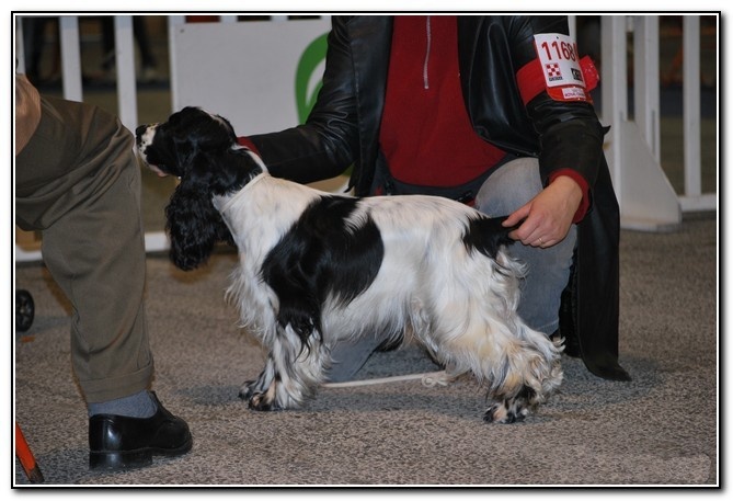 Dee dee doo du Kreizker - 2è TB en classe intermédiaire