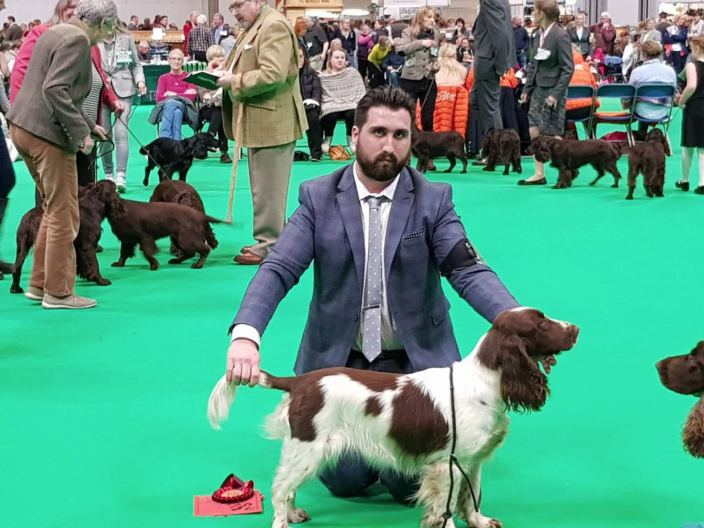 CH. Just for you love dit triskell du Kreizker - 1 st working bitch