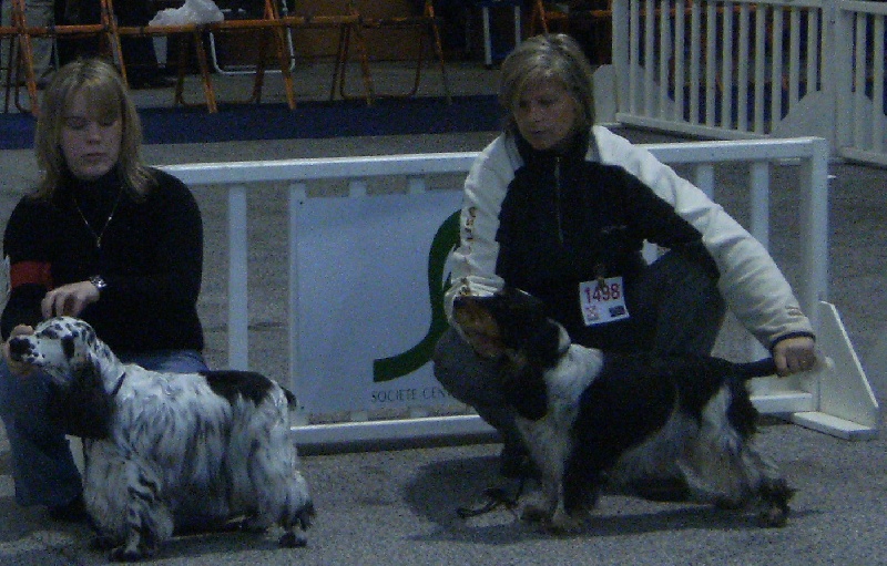 Acheb du Kreizker - 3ème excellent