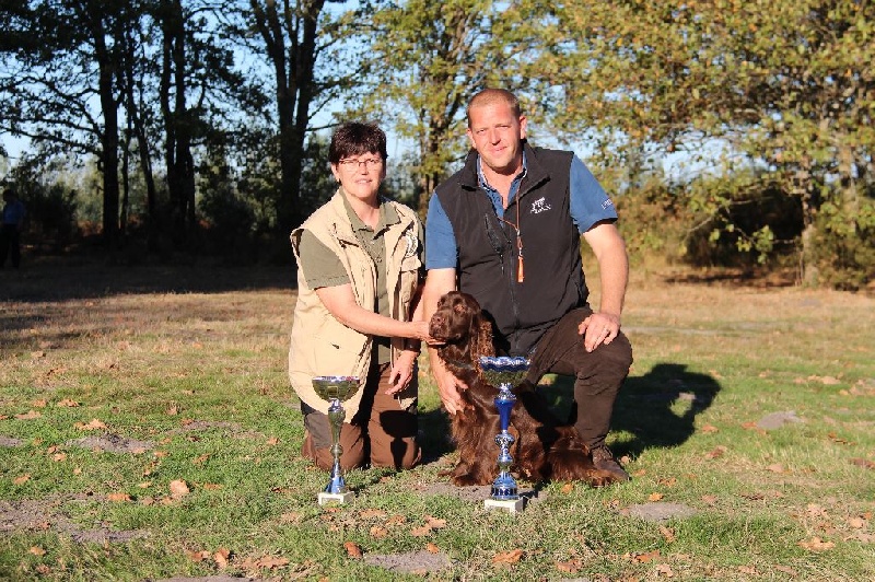 TR. CH. noblefield's Dream du kreizker - CACT excellent