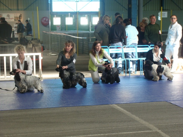 Dee dee doo du Kreizker - 4ème excellent classe jeune sur 11 présentées