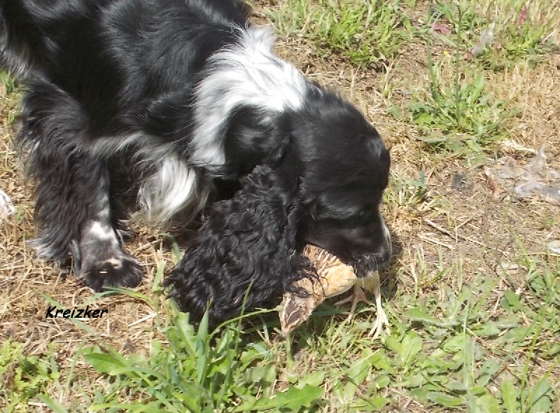 Hywell du Kreizker - admise au TAN