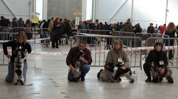 Acheb du Kreizker - 3ème excellent