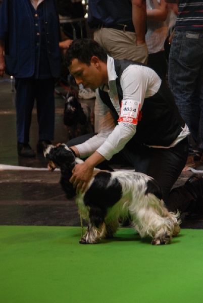 Dee dee doo du Kreizker - excellent NC en classe jeune