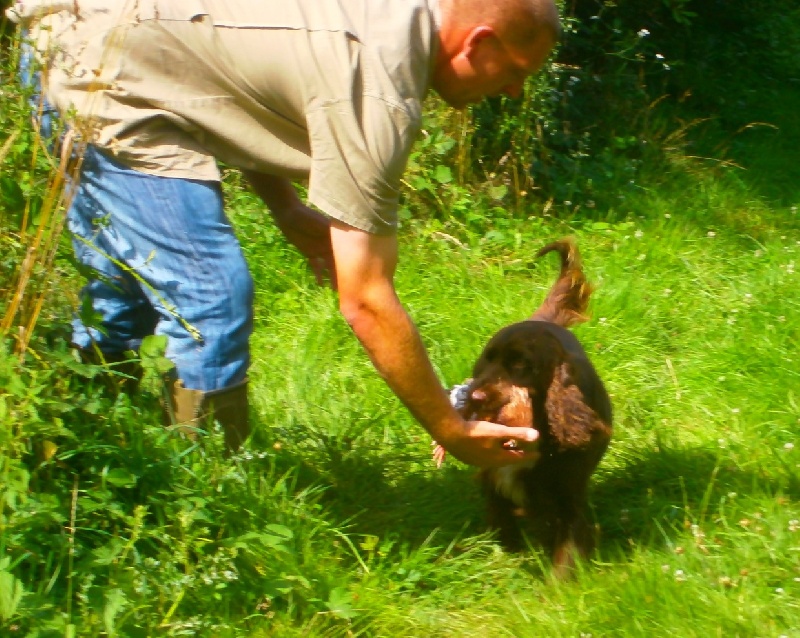 TR. CH. For you eyes only Des Haies De La Conchée - admise au débutant