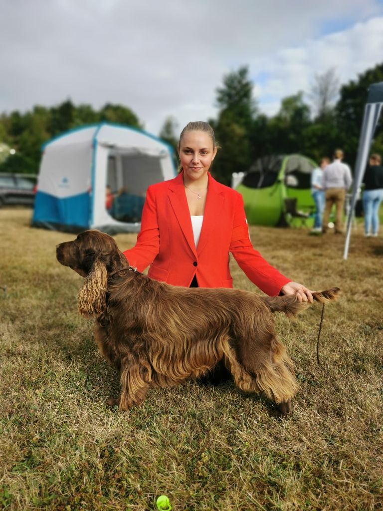 TR. CH. noblefield's Dream du kreizker - MEILLEUR DE RACE