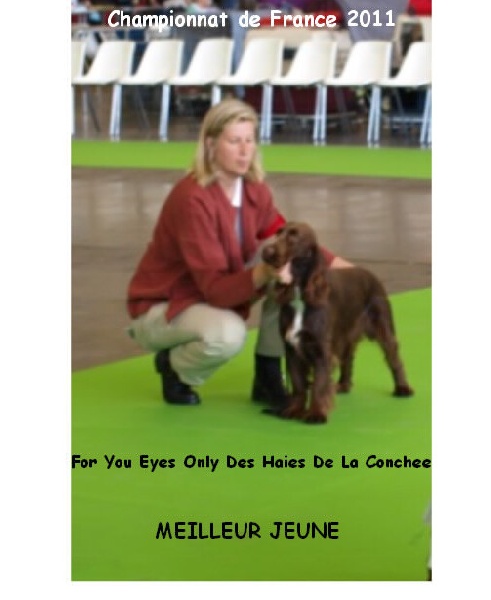 TR. CH. For you eyes only Des Haies De La Conchée - 1 er excellent MEILLEUR JEUNE