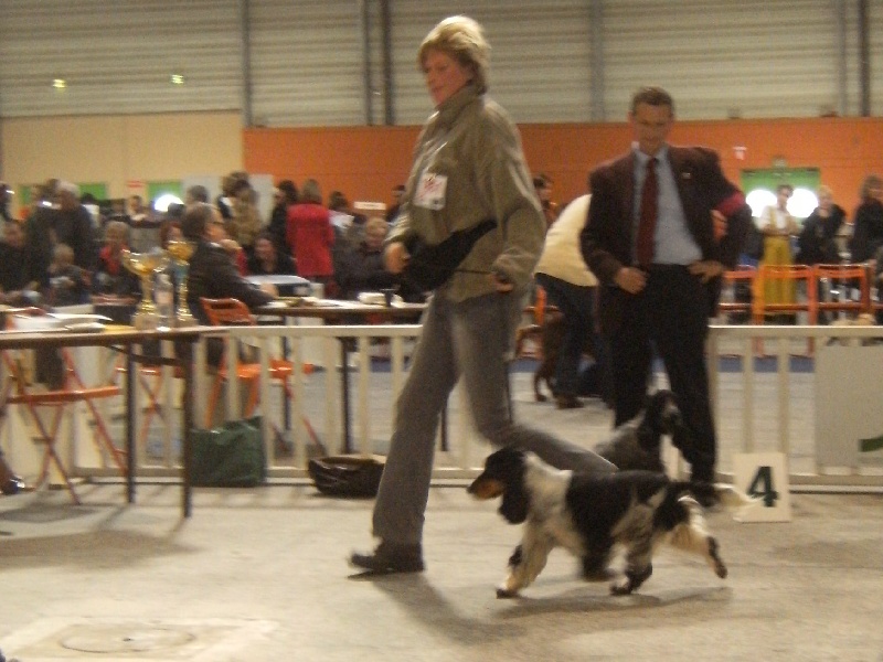 Acheb du Kreizker - 2ème excellent RCACS