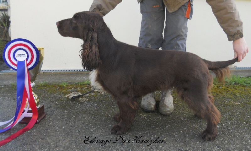 TR. CH. For you eyes only Des Haies De La Conchée - CACS