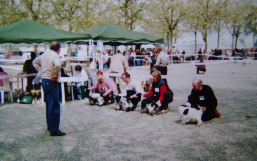 Acheb du Kreizker - 3 ème classe jeune, très bon