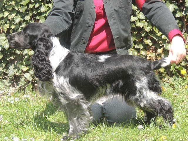 Hywell du Kreizker - 1ere TB classe jeune