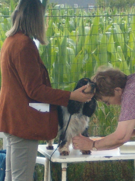 Acheb du Kreizker - 2ème très bon