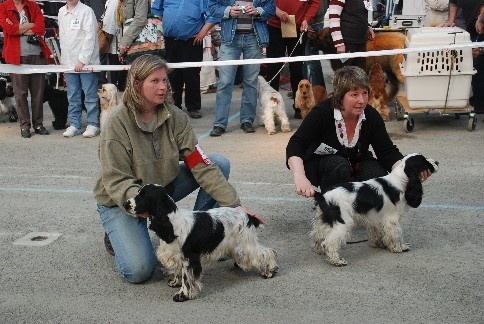 Dee dee doo du Kreizker - 1ère excellent en classe jeune