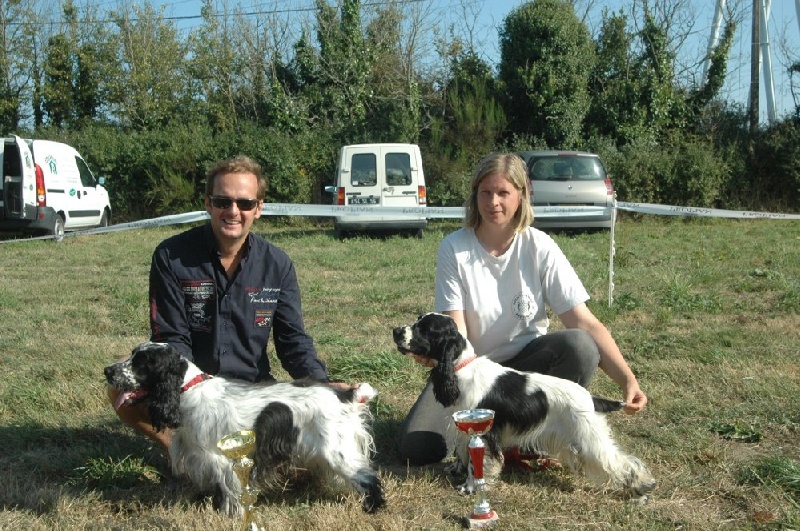 Dee dee doo du Kreizker - TAN + meilleur cocker anglais pluri en présentation pro