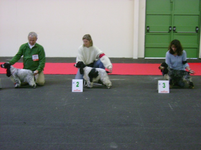 Dee dee doo du Kreizker - 2ème excellent classe jeune + confirmée