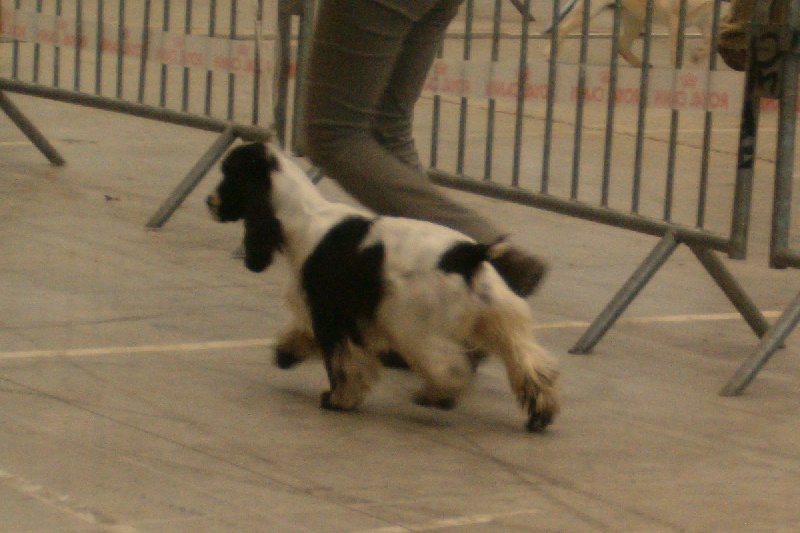 Dee dee doo du Kreizker - 1ère excellent classe jeune