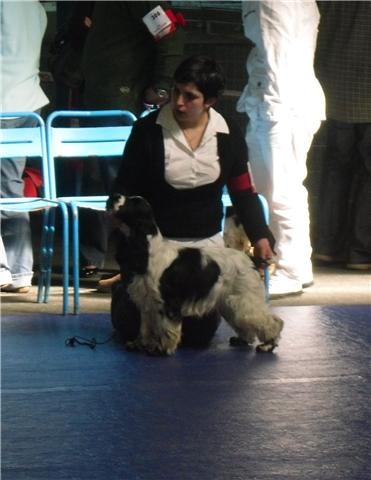 Dee dee doo du Kreizker - 4ème excellent classe jeune sur 8 présentées