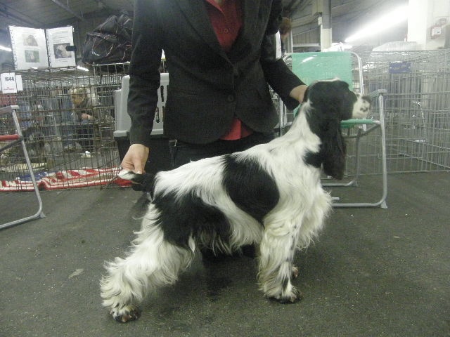 Dee dee doo du Kreizker - 2ème excellent en classe ouverte