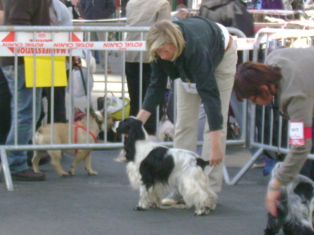 Dee dee doo du Kreizker - 3ème EXC