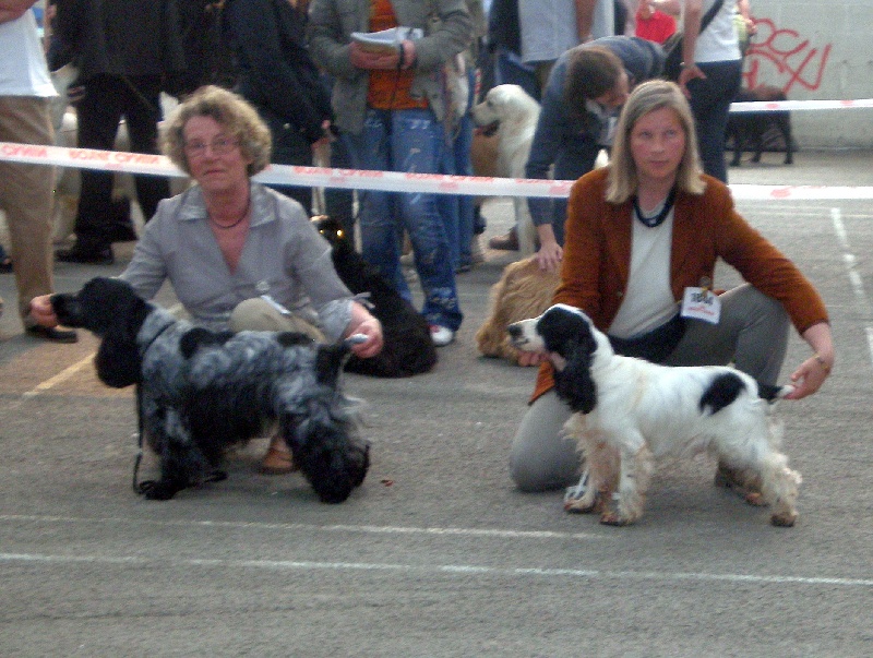 Bright white knight de quadragant - 4ème excellent classe ouverte mâle