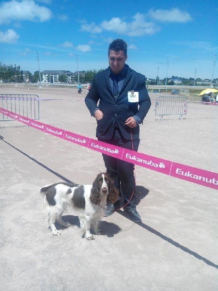 CH. Just for you love dit triskell du Kreizker - 1ere excellente classe jeune BOJ BOB