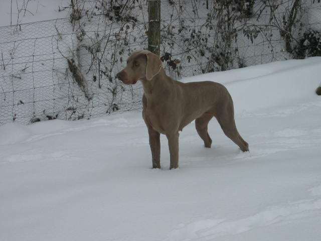 Publication : du Puits Carré