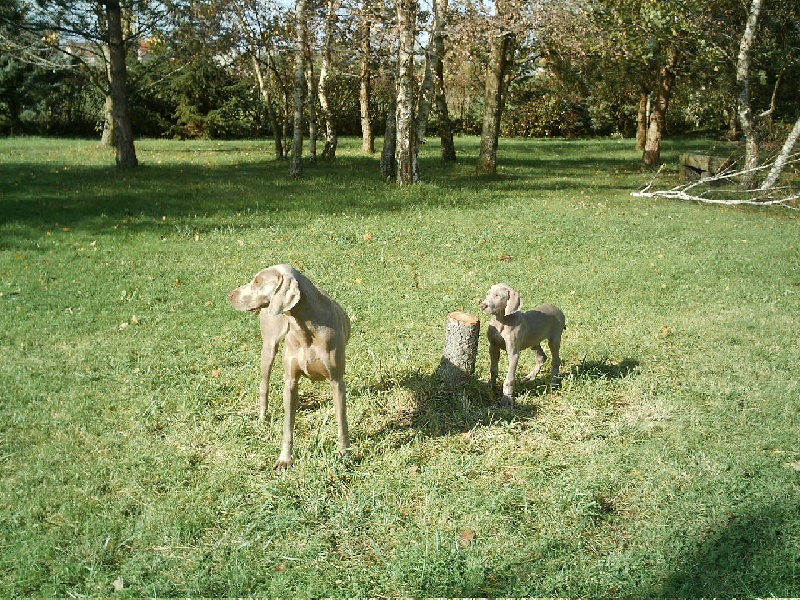 Publication : du Puits Carré