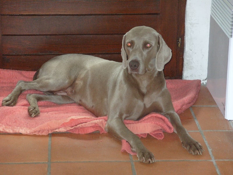 Publication : du Puits Carré