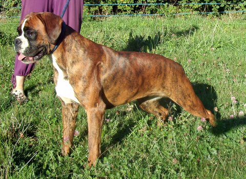 First  lady de l'Arche des Terres du Sud