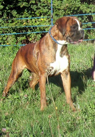 First  lady de l'Arche des Terres du Sud
