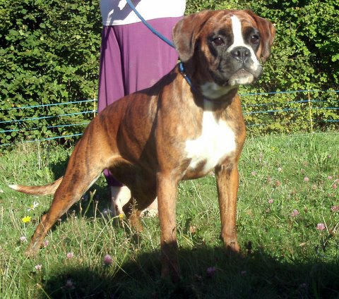 First  lady de l'Arche des Terres du Sud