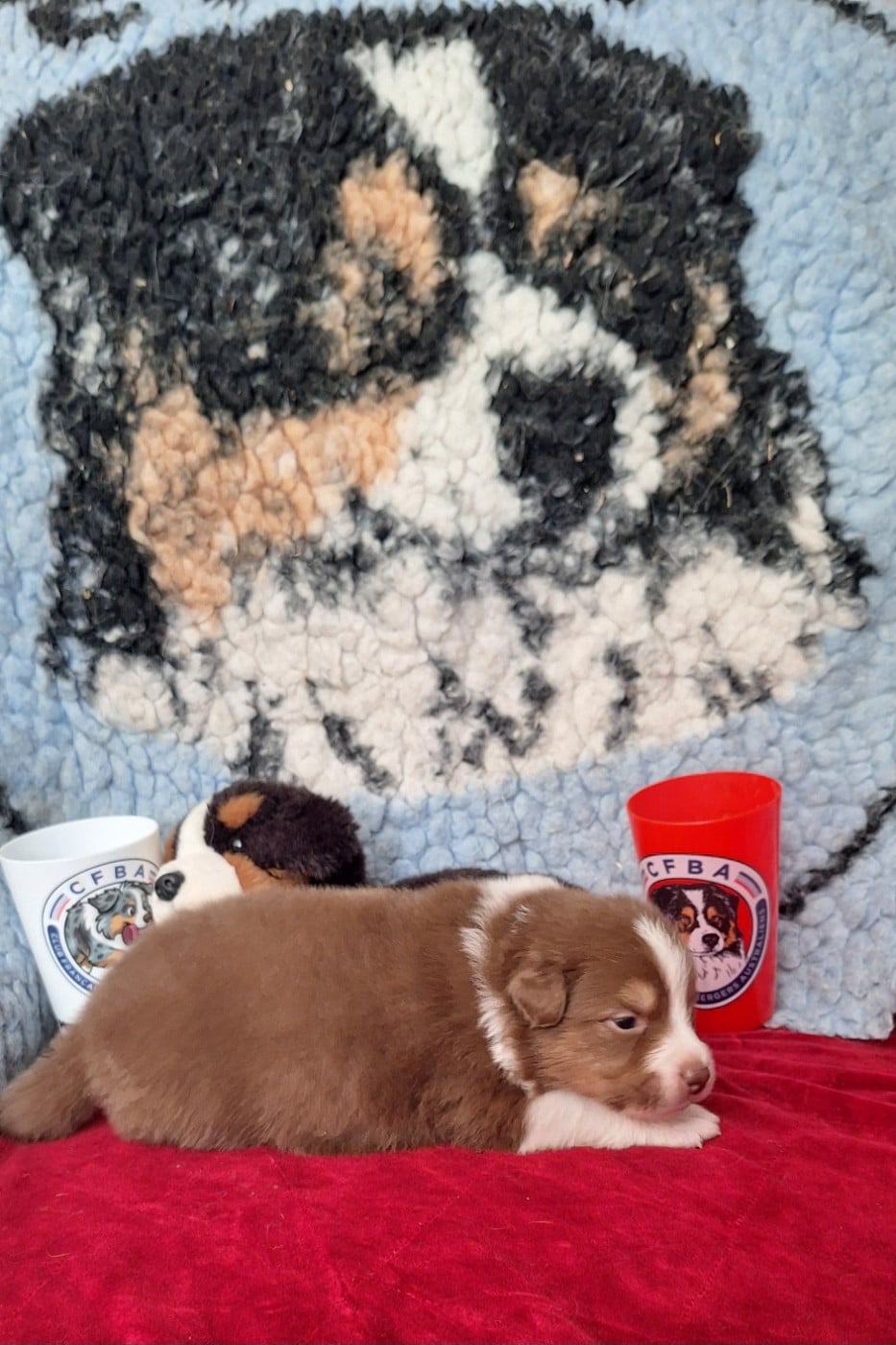 BALOO