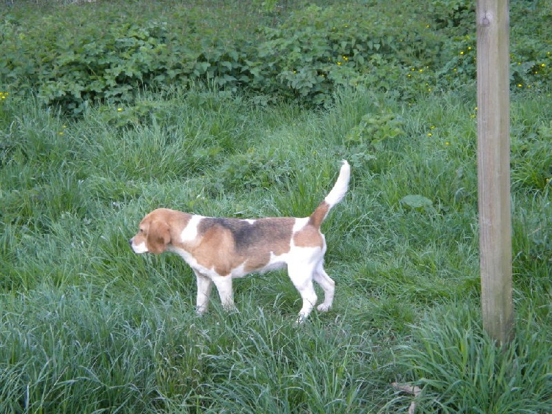 Publication : Du clos machard