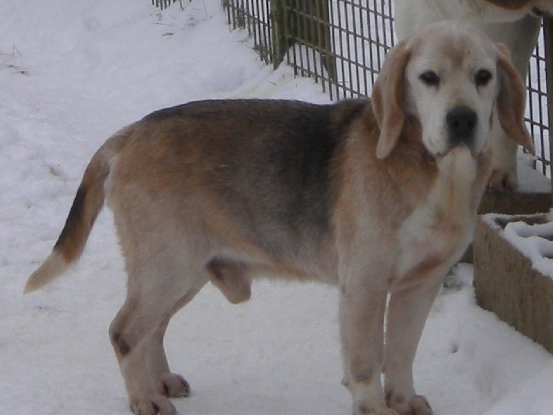 Publication : Du clos machard