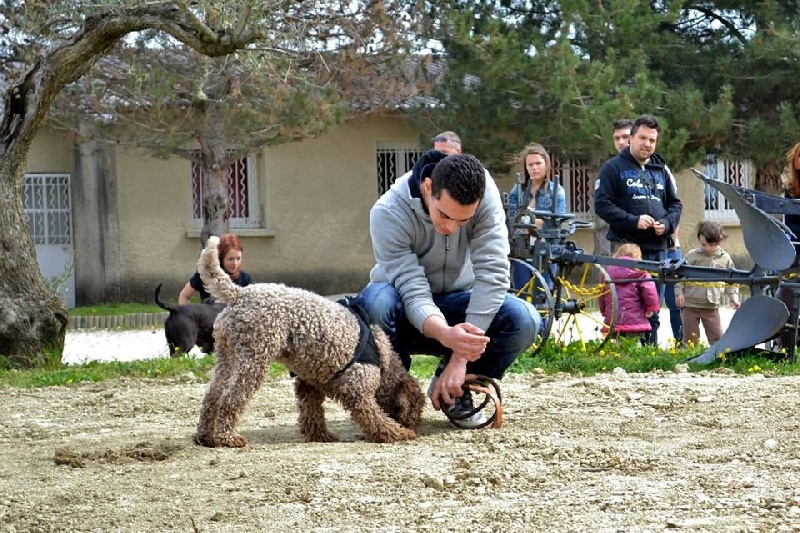 Publication : de la Victoire d'Urtie