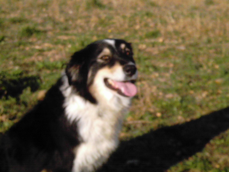 Publication : de la Victoire d'Urtie